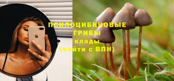 гидропоника Няндома