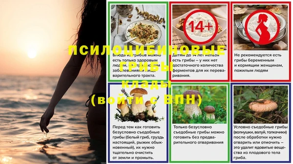 гидропоника Няндома
