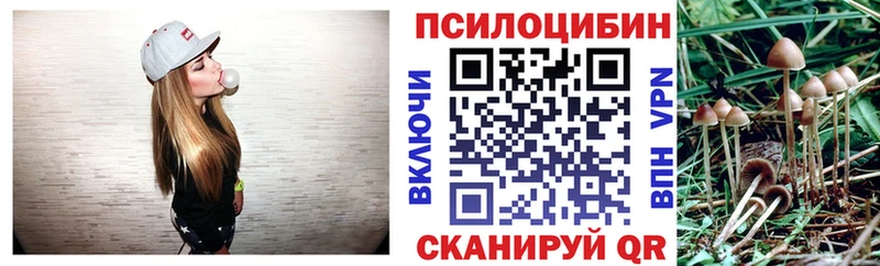 закладка  Советск  Псилоцибиновые грибы мицелий 